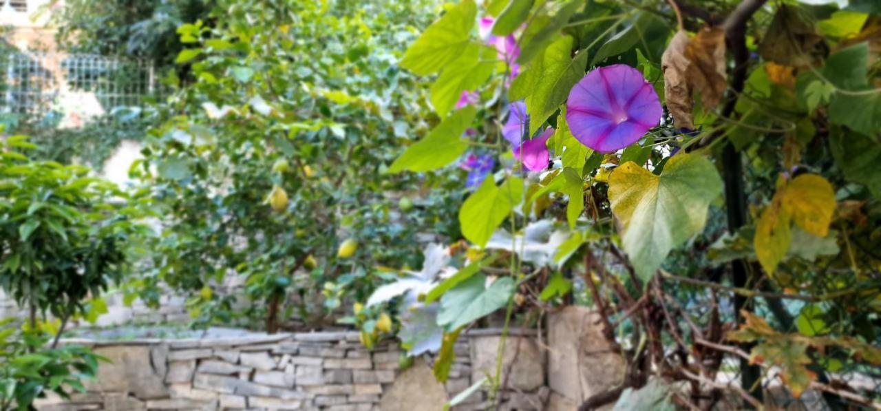 Studio Au Bas Des Cretes En Bas De Villa A La Ciotat Proche De La Mer Et De Marseille Bagian luar foto